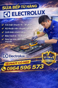 Hình ảnh thợ sửa bếp từ hãng Electrolux
